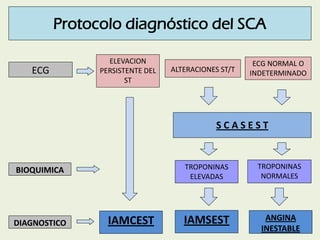 Protocolo diagnóstico del SCA
ECG
BIOQUIMICA
DIAGNOSTICO
ELEVACION
PERSISTENTE DEL
ST
ECG NORMAL O
INDETERMINADO
TROPONINA...