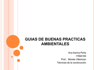 GUIAS DE BUENAS PRACTICAS  AMBIENTALES Ana Karina Peña 17894100 Prof.:  MorelaVillamizar Técnicas de la construcción 