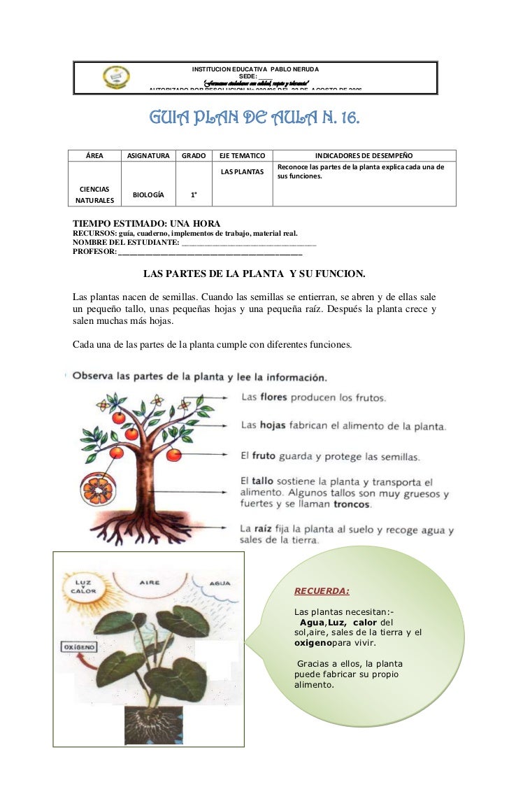 Guias de ciencias naturales. grado primero.