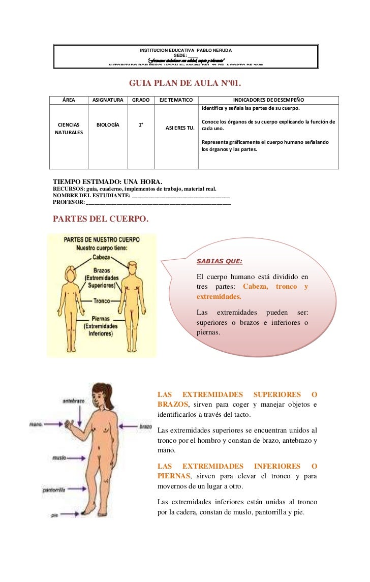 Guias de ciencias naturales. grado primero.