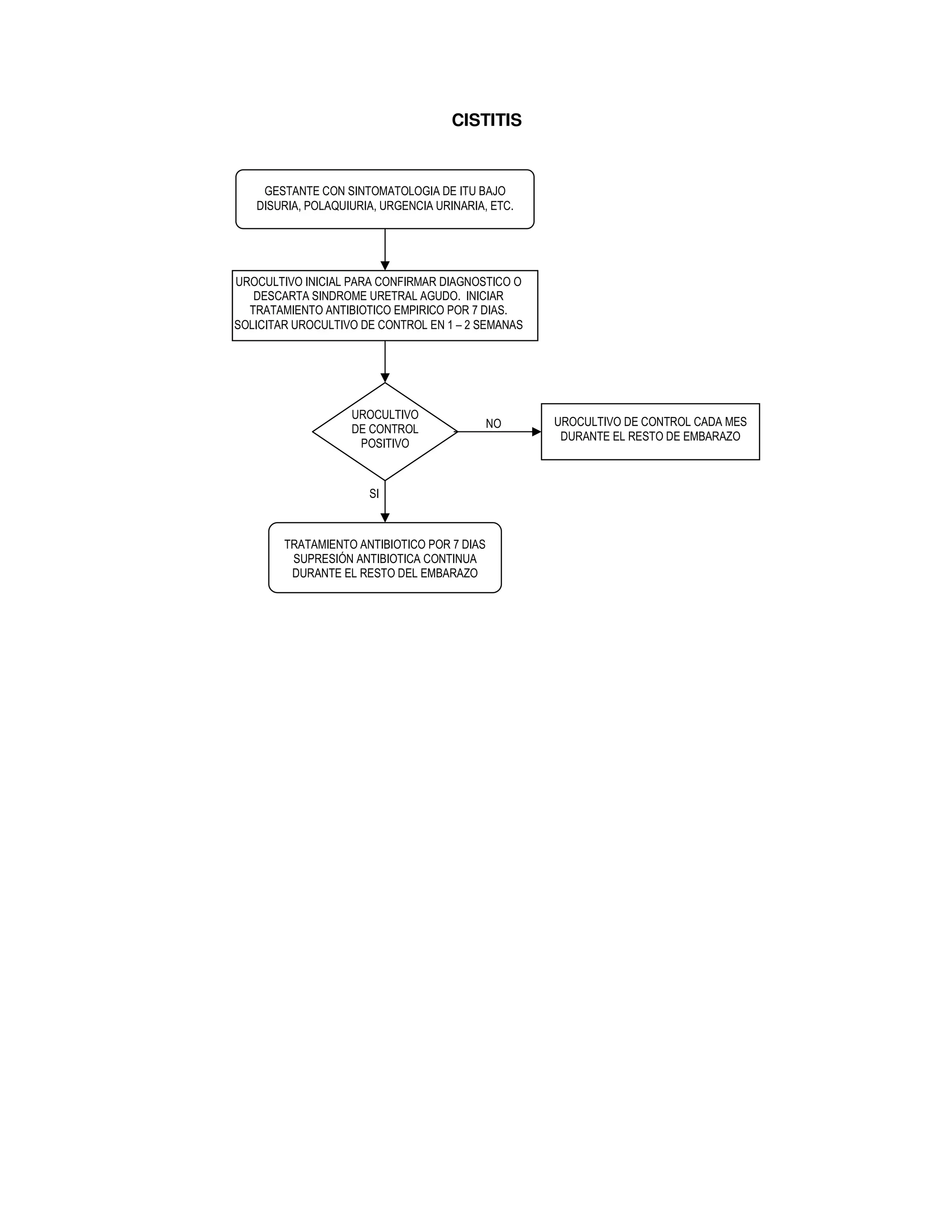 CISTITIS
GESTANTE CON SINTOMATOLOGIA DE ITU BAJO
DISURIA, POLAQUIURIA, URGENCIA URINARIA, ETC.
UROCULTIVO
DE CONTROL
POSITIVO
UROCULTIVO DE CONTROL CADA MES
DURANTE EL RESTO DE EMBARAZO
TRATAMIENTO ANTIBIOTICO POR 7 DIAS
SUPRESIÓN ANTIBIOTICA CONTINUA
DURANTE EL RESTO DEL EMBARAZO
UROCULTIVO INICIAL PARA CONFIRMAR DIAGNOSTICO O
DESCARTA SINDROME URETRAL AGUDO. INICIAR
TRATAMIENTO ANTIBIOTICO EMPIRICO POR 7 DIAS.
SOLICITAR UROCULTIVO DE CONTROL EN 1 – 2 SEMANAS
SI
NO
 