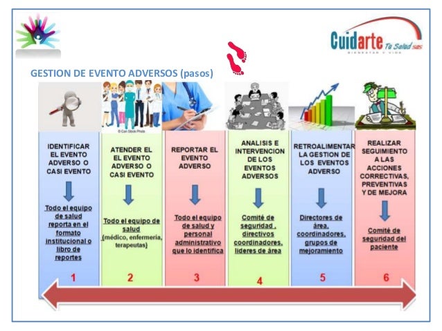 Guia seguridad del paciente