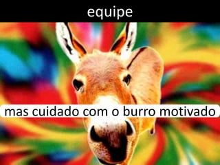 equipe




mas cuidado com o burro motivado
 