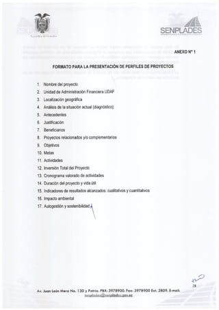 Guia senplades proyectos