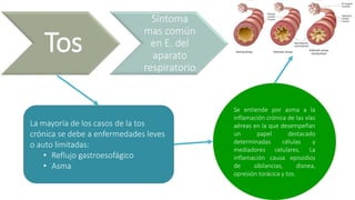 Tos
Síntoma
mas común
en E. del
aparato
respiratorio
Se entiende por asma a la
inflamación crónica de las vías
aéreas en la que desempeñan
un papel destacado
determinadas células y
mediadores celulares. La
inflamación causa episodios
de sibilancias, disnea,
opresión torácica y tos.
La mayoría de los casos de la tos
crónica se debe a enfermedades leves
o auto limitadas:
• Reflujo gastroesofágico
• Asma
 