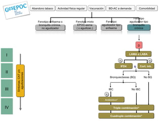 Abandono tabaco     Actividad física regular   Vacunación       BD-AC a demanda          Comorbilidad


                                                                                                               Fenotipo
                              Fenotipo enfisema o             Fenotipo mixto        Fenotipo                agudizador tipo
                               bronquitis crónica,             EPOC-asma         agudizador tipo              bronquitis
                                 no agudizador                ( ± agudizac.)       enfisema                     crónica




                                                                                                                   D


I                                                                                                           LAMA o LABA

                                                                                                     +                        +
                                                                                                     IFD4      o      Cort. inh.
      Síntomas, CAT y/o




II
        agudizaciones




                                                                                          Bronquiectasias (BQ)           No BQ



III                                                                                       IBC                No IBC

                                                                                      +
                                                                                      Antibiótico*


IV                                                                                              Triple combinación*


                                                                                           Cuadruple combinación*
 