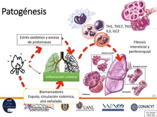 Patogénesis
Inflamación crónica
Estrés oxidativo y exceso
de proteinasas
Biomarcadores
Esputo, circulación sistémica,
aire exhalado.
TH1, TH17, TH2
IL3, ILC2
Fibrosis
intersticial y
peribronquial
Dra. Rangel
CRAIC Mty
 