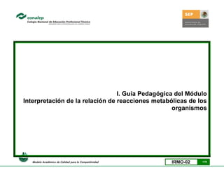 I. Guía Pedagógica del Módulo
Interpretación de la relación de reacciones metabólicas de los
                                                   organismos




   Modelo Académico de Calidad para la Competitividad   IRMO-02   1/70
 