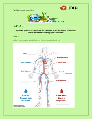 Francisca Jimenez- Yaritza Mesa
Nombre:_____________________________________________
Objetivo: “Reconocer e identificar las estructura básica del sistema circulatorio,
funcionamiento del corazón y vasos sanguíneos”
Ítem 1:
-Coloca el nombre correspondiente al sistema circulatorio. (8 min.)
________________
__________________
________
 