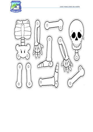 LICEO FARALLONES DEL NORTE
 