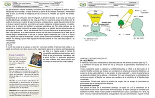 que solo alcanzan a cuerpos mudables y particulares. Pero tampoco la inteligencia las produce porque
esta facultad las encuentra y constata. Entonces, la fuente de las verdades necesarias y eternas debe
estar en Dios, que ilumina la inteligencia para que conozca las verdades que superan los sentidos.
Esta es la
famosa teoría de la iluminación. Dios Para Agustín, la existencia de Dios es tan clara, que basta una
sencilla reflexión para percatarse de ella. Llega a un Dios vivo y personal porque tiene como punto de
partida el alma humana viviente. El argumento de las verdades eternas para el descubrimiento de Dios
es de pura inspiración platónica: encontramos en nuestra inteligencia verdades necesarias inmutables,
eternas como el principio de identidad, los axiomas matemáticos, etc. Pero estas certezas que se
encuentran en nuestra mente solo se pueden comprender en su plenitud, porque realmente existe un
ser necesario, inmutable y eterno, que llamamos Dios. El principio fundamental de este argumento, con
claro influjo platónico, se lo puede sintetizar diciendo que una mayor comprensión de las ideas que no
cambian exige la existencia de un ser que no cambie. Agustín comprende que a Dios se lo conoce
mejor callando que tratando de explicarlo, no se lo puede conocer en sus detalles: es incomprensible e
inefable. Sin embargo, Agustín hace algunas afirmaciones positivas de Dios, sobre todo respecto a su
inmutabilidad
y a su bondad.
El mundo
El mundo fue creado de la nada por un acto libre y voluntario de Dios. Al principio todo estaba en un
estado de confusión, pero poco a poco se fue organizando gracias a las razones seminales puestas
por Dios en la materia creada. A manera de
una semilla, esas ideas se desenvuelven por el
influjo de las circunstancias materiales y bajo
la acción de Dios. La explicación agustiniana
es, pues, dinámica enun marco evolutivo que
no rechaza la acción de Dios ni de la materia.
GUIA CINCO SEGUNDO PERIODO 10°.
LA ESCOLÁSTICA
A medida que los pueblos bárbaros fueron abarcando cada vez más territorio, entre los siglos III y VII,
y se terminaron de liquidar las formas de vida y estructuras de pensamiento desarrolladas en el
ambiente
romano, la patrística perdió su vitalidad. La conflictividad política se reflejó en la disminución de la
creación filosófica, actividad que dio paso a la compilación de extractos y comentarios filosóficos. Las
invasiones de los pueblos bárbaros no dan garantía de orden seguridad. La cultura de este tiempo se
va agrupando alrededor de las iglesias y monasterios. Son casi exclusivamente los eclesiásticos los
únicos que conocen la filosofía, con cánones que resultaron de la prohibición de la filosofía griega,
considerada
«anticristiana». Durante este tiempo los eruditos se ocupan más de recoger el conocimiento en
enciclopedias que en nueva producción filosófica.
El renacimiento carolingio
Este período se cierra con el renacimiento carolingio. Los siglos VIII y IX se caracterizan por la
concentración de las fuerzas sobrevivientes del mundo antiguo: el Imperio carolingio en Occidente y los
árabes en el Oriente. Ambos hicieron posible el renacimiento de la cultura Carlomagno (742 – 814), rey
de los francos y emperador de Occidente, para garantizar una buena administración, requería emplear
 