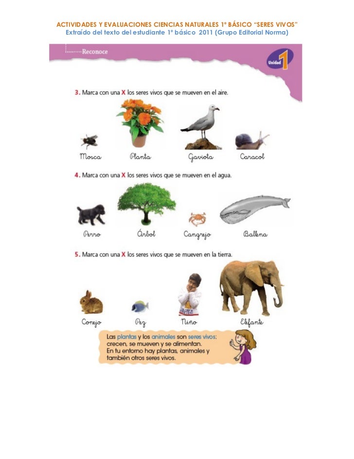 Guias y evaluaciones ciencias 1º