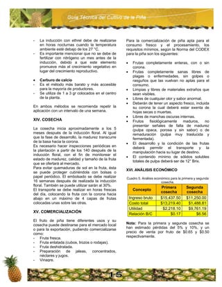 Guia tecnica piña | PDF