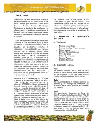 Guia tecnica piña | PDF