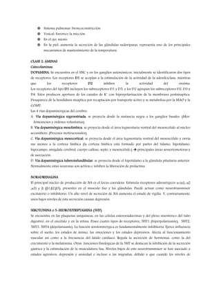  Sistema pulmonar: broncoconstricción.
 Vesical: Favorece la micción.
 En el ojo: miosis.
 En la piel: aumenta la secreción de las glándulas sudoríparas, representa uno de los principales
mecanismos de mantenimiento de la temperatura.
CLASE 2: AMINAS
Catecolaminas:
DOPAMINA: Se encuentra en el SNC y en los ganglios autonómicos, inicialmente se identificaron dos tipos
de receptores. Los receptores D1 se acoplan a la estimulación de la actividad de la adenilciclasa, mientras
que los receptores D2 inhiben la actividad del enzima.
Los receptores del tipo D1 incluyen los subreceptores D1 y D5, y los D2 agrupan los subreceptores D2, D3 y
D4. Estos producen apertura de los canales de K+
con hiperpolarización de la membrana postsinaptica.
Desaparece de la hendidura sináptica por recaptación por transporte activo y se metaboliza por la MAO y la
COMT.
Las 4 vías dopaminérgicas del cerebro:
A. Vía dopaminérgica nigroestriada: se proyecta desde la sustancia negra a los ganglios basales. (Mov.
Armoniosos y órdenes voluntarias).
B. Vía dopaminérgica mesolímbica: se proyecta desde el área tegmentaria ventral del mesencéfalo al núcleo
accumbens. (Procesos motivacionales).
C. Vía dopaminérgica mesocortical: se proyecta desde el área tegmentaria ventral del mesencéfalo y envía
sus axones a la corteza límbica (la corteza límbica está formado por partes del tálamo, hipotálamo,
hipocampo, amígdala cerebral, cuerpo calloso, septo, y mesencéfalo.)  principales áreas sensoriomotoras y
de asociación.
D. Vía dopaminérgica tuberoinfundibular: se proyecta desde el hipotálamo a la glándula pituitaria anterior.
Normalmente estas neuronas son activas e inhiben la liberación de prolactina.
NORADRENALINA
El principal núcleo de producción de NA es el locus coeruleus. Estimula receptores adrenérgicos α (α1, α2
,α3) y β (β1,β2,β3), presentes en el musculo liso y las glándulas. Puede actuar como neurotransmisor
excitatorio o inhibitorio. Un alto nivel de secreción de NA aumenta el estado de vigilia. Y, contrariamente,
unos bajos niveles de ésta secreción causan depresión.
SEROTONINA o 5-HIDROXITRIPTAMINA (5HT)
Se encuentra en las plaquetas sanguíneas, en las células enteroendocrinas y del plexo mientérico del tubo
digestivo, en el encéfalo y en la retina. Posee cuatro tipos de receptores; 5HT1 (hiperpolarizante), 5HT2,
5HT3, 5HT4 (depolarizante). La función serotoninérgica es fundamentalmente inhibitoria. Ejerce influencia
sobre el sueño, los estados de ánimo, las emociones y los estados depresivos. Afecta al funcionamiento
vascular así como a la frecuencia del latido cardiaco. Regula la secreción de hormonas, como la del
crecimiento y la melatonina. Otras funciones fisiológicas de la 5HT se destacan la inhibición de la secreción
gástrica y la estimulación de la musculatura lisa. Niveles bajos de este neurotransmisor se han asociado a
estados agresivos, depresión y ansiedad e incluso a las migrañas, debido a que cuando los niveles de
 