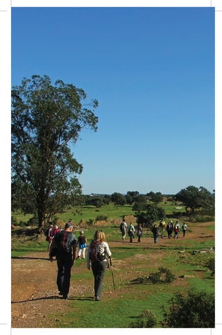 Guia transalentejo pt