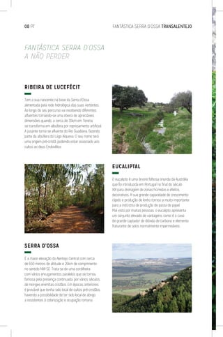 08 PT	 FANTÁSTICA SERRA D’OSSA TRANSALENTEJO
RIBEIRA DE LUCEFÉCIT
Tem a sua nascente na base da Serra d’Ossa,
alimentada pela rede hidrológica das suas vertentes.
Ao longo do seu percurso vai recebendo diferentes
afluentes tornando-se uma ribeira de apreciáveis
dimensões quando, a cerca de 35km em Terena,
se transforma em albufeira por represamento artificial.
A jusante torna-se afluente do Rio Guadiana, fazendo
parte da albufeira do Lago Alqueva. O seu nome terá
uma origem pré-cristã, podendo estar associado aos
cultos ao deus Endovélico.
SERRA D’OSSA
É a maior elevação do Alentejo Central com cerca
de 650 metros de altitude e 26km de comprimento
no sentido NW-SE. Trata-se de uma cordilheira
com vários enrugamentos paralelos que se tornou
famosa pela presença continuada, por vários séculos,
de monges eremitas cristãos. Em épocas anteriores
é provável que tenha sido local de cultos pré-cristãos,
havendo a possibilidade de ter sido local de abrigo
a resistentes à colonização e ocupação romana.
EUCALIPTAL
O eucalipto é uma árvore folhosa oriunda da Austrália
que foi introduzida em Portugal no final do século
XIX para drenagem de zonas húmidas e efeitos
decorativos. A sua grande capacidade de crescimento
rápido e produção de lenho tornou-a muito importante
para a indústria de produção de pasta de papel.
Mal visto por muitas pessoas, o eucalipto apresenta
um conjunto elevado de vantagens, como é o caso
de grande captador de dióxido de carbono e elemento
fraturante de solos normalmente impermeáveis.
FANTÁSTICA SERRA D’OSSA
A NÃO PERDER
 