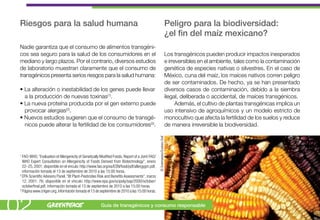 Riesgos para la salud humana                                                                                                Peligro para la biodiversidad:
                                                                                                                             ¿el fin del maíz mexicano?
 Nadie garantiza que el consumo de alimentos transgéni-
 cos sea seguro para la salud de los consumidores en el                                                                      Los transgénicos pueden producir impactos inesperados
 mediano y largo plazos. Por el contrario, diversos estudios                                                                 e irreversibles en el ambiente, tales como la contaminación
 de laboratorio muestran claramente que el consumo de                                                                        genética de especies nativas o silvestres. En el caso de
 transgénicos presenta serios riesgos para la salud humana:                                                                  México, cuna del maíz, los maíces nativos corren peligro
                                                                                                                             de ser contaminados. De hecho, ya se han presentado
 • La alteración o inestabilidad de los genes puede llevar                                                                   diversos casos de contaminación, debido a la siembra
   a la producción de nuevas toxinas(1).                                                                                     ilegal, deliberada o accidental, de maíces transgénicos.
 • La nueva proteína producida por el gen externo puede                                                                            Además, el cultivo de plantas transgénicas implica un
   provocar alergias(2).                                                                                                     uso intensivo de agroquímicos y un modelo estricto de
 • Nuevos estudios sugieren que el consumo de transgé-                                                                       monocultivo que afecta la fertilidad de los suelos y reduce
   nicos puede alterar la fertilidad de los consumidores(3).                                                                 de manera irreversible la biodiversidad.




                                                                                                 © Greenpeace/Gustavo Graf
 1
   FAO-WHO, “Evaluation of Allergenicity of Genetically Modified Foods. Report of a Joint FAO/
   WHO Expert Consultation on Allergenicity of Foods Derived from Biotechnology”, enero
   22–25, 2001; disponible en el vínculo: http://www.fao.org/es/ESN/food/pdf/allergygm.pdf,
   información tomada el 13 de septiembre de 2010 a las 15:00 horas.
 2
   EPA Scientific Advisory Panel, “Bt Plant-Pesticides Risk and Benefits Assessments”, marzo
   12, 2001: 76; disponible en el vínculo: http://www.epa.gov/scipoly/sap/2000/october/
   octoberfinal.pdf, información tomada el 13 de septiembre de 2010 a las 15:00 horas.
 3
   Página www.criigen.org, información tomada el 13 de septiembre de 2010 a las 15:00 horas.



02                                                      Guía de transgénicos y consumo responsable
 