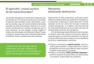 El agricultor: ¿nuevo esclavo
                                        Guía de transgénicos y consumo responsable


                                                             Monsanto:
                                                                                                                  03
de las transnacionales?                                      sembrando destrucción

Las semillas transgénicas no pertenecen al agricultor que    Seguramente te estás preguntando quién gana dados
las siembra sino a la transnacional que las comercializa.    todos los evidentes daños que implican los transgénicos.
El agricultor tiene prohibido vender, intercambiar y guar-   La respuesta no deja lugar a dudas: Monsanto controla
dar sus semillas, pues de hacerlo enfrentará demandas        alrededor de 90 por ciento del mercado mundial de
judiciales por parte de la empresa. Además, si su campo      semillas transgénicas(1) y en México, esta transnacional
resulta contaminado por semillas transgénicas que no         es la principal beneficiaria de los primeros permisos de
haya sembrado, se verá obligado a pagar regalías o           siembra experimental de maíz transgénico.
multas a transnacionales como Monsanto, Bayer, Pioneer           A fin de obtener ganancias, Monsanto hace lo que sea:
o Syngenta, situación que ya han enfrentado agricultores     no duda en violar la ley, sobornar funcionarios, afectar la
de Estados Unidos y Canadá entre otras naciones.             salud de la gente o contaminar el ambiente. A lo largo de
                                                             su historia, Monsanto ha acumulado un sucio expediente
                                                             de hechos, irregularidades y sanciones:

                                                             • Produjo y comercializó el agente naranja, usado du-
¿Queremos que los agricultores                                 rante la guerra Vietnam(2) y responsable de la muerte y
mexicanos se vean obligados a                                  el desarrollo de cáncer para miles de civiles inocentes.
pagar por el derecho de sembrar su                             El agente naranja está hoy prohibido.
                                                             • Produjo y comercializó el DDT y los PCB o askareles(3),
tierra a empresas transnacionales?                             químicos causantes de graves daños a la salud humana
                                                               y al ambiente. Ambos están hoy prohibidos.
 