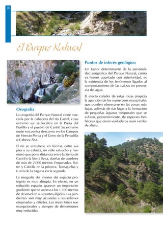 18
Orografía
La orografía del Parque Natural viene mar-
cada por la cabecera del río Castril, cuyo
extremo sur se localiza en la Presa del
Portillo y el pueblo de Castril. Su extremo
norte encuentra descanso en los Campos
de Hernán Perea y el Cerro de la Penadilla
o Cabeza Alta.
El río se entretiene en formar, entre sus
pies y su cabeza, un valle estrecho y her-
moso que pone distancia entre la Sierra de
Castril y la Sierra Seca, dueñas de cumbres
de más de 2.000 metros: Empanadas, Bui-
tre y Cabrilla en la primera. Tornajuelos y
Cerro de la Laguna en la segunda.
La orografía del interior del espacio pro-
tegido es muy abrupta. En efecto, en un
reducido espacio aparece un importante
gradiente que se acerca a los 1.300 metros
de desnivel en sus puntos álgidos. Las pen-
dientes son muy acusadas y los relieves
empinados y difíciles. Las áreas llanas son
excepcionales y siempre de dimensiones
muy reducidas.
Puntos de interés geológico
Un factor determinante de la personali-
dad geográfica del Parque Natural, como
ya hemos apuntado con anterioridad, es
la existencia de los fenómenos ligados al
comportamiento de las calizas en presen-
cia del agua.
El efecto colador de estas rocas propicia
la aparición de los numerosos manantiales
que pueden observarse en las zonas más
bajas, además de dar lugar a la formación
de pequeñas lagunas temporales que se
cubren, posteriormente, de especies her-
báceas que crean verdaderos oasis verdes
de altura.
El Parque Natural
 