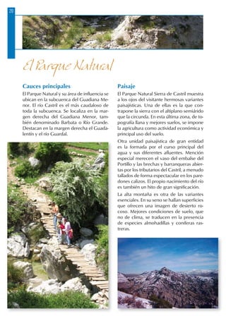 20
Cauces principales
El Parque Natural y su área de influencia se
ubican en la subcuenca del Guadiana Me-
nor. El río Castril es el más caudaloso de
toda la subcuenca. Se localiza en la mar-
gen derecha del Guadiana Menor, tam-
bién denominado Barbata o Río Grande.
Destacan en la margen derecha el Guada-
lentín y el río Guardal.
Paisaje
El Parque Natural Sierra de Castril muestra
a los ojos del visitante hermosas variantes
paisajísticas. Una de ellas es la que con-
trapone la sierra con el altiplano semiárido
que la circunda. En esta última zona, de to-
pografía llana y mejores suelos, se impone
la agricultura como actividad económica y
principal uso del suelo.
Otra unidad paisajística de gran entidad
es la formada por el curso principal del
agua y sus diferentes afluentes. Mención
especial merecen el vaso del embalse del
Portillo y las brechas y barranqueras abier-
tas por los tributarios del Castril, a menudo
tallados de forma espectacular en los pare-
dones calizos. El propio nacimiento del río
es también un hito de gran significación.
La alta montaña es otra de las variantes
esenciales. En su seno se hallan superficies
que ofrecen una imagen de desierto ro-
coso. Mejores condiciones de suelo, que
no de clima, se traducen en la presencia
de especies almohadillas y coníferas ras-
treras.
El Parque Natural
 
