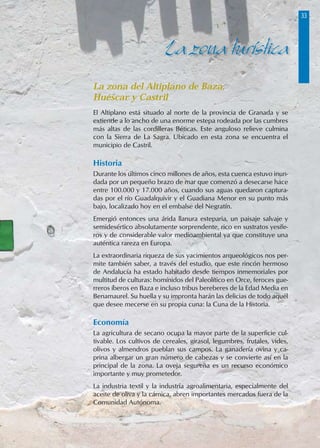 La zona del Altiplano de Baza,
Huéscar y Castril
El Altiplano está situado al norte de la provincia de Granada y se
extiende a lo ancho de una enorme estepa rodeada por las cumbres
más altas de las cordilleras Béticas. Este anguloso relieve culmina
con la Sierra de La Sagra. Ubicado en esta zona se encuentra el
municipio de Castril.
Historia
Durante los últimos cinco millones de años, esta cuenca estuvo inun-
dada por un pequeño brazo de mar que comenzó a desecarse hace
entre 100.000 y 17.000 años, cuando sus aguas quedaron captura-
das por el río Guadalquivir y el Guadiana Menor en su punto más
bajo, localizado hoy en el embalse del Negratín.
Emergió entonces una árida llanura esteparia, un paisaje salvaje y
semidesértico absolutamente sorprendente, rico en sustratos yesífe-
ros y de considerable valor medioambiental ya que constituye una
auténtica rareza en Europa.
La extraordinaria riqueza de sus yacimientos arqueológicos nos per-
mite también saber, a través del estudio, que este rincón hermoso
de Andalucía ha estado habitado desde tiempos inmemoriales por
multitud de culturas: homínidos del Paleolítico en Orce, feroces gue-
rreros íberos en Baza e incluso tribus bereberes de la Edad Media en
Benamaurel. Su huella y su impronta harán las delicias de todo aquél
que desee mecerse en su propia cuna: la Cuna de la Historia.
Economía
La agricultura de secano ocupa la mayor parte de la superficie cul-
tivable. Los cultivos de cereales, girasol, legumbres, frutales, vides,
olivos y almendros pueblan sus campos. La ganadería ovina y ca-
prina albergar un gran número de cabezas y se convierte así en la
principal de la zona. La oveja segureña es un recurso económico
importante y muy prometedor.
La industria textil y la industria agroalimentaria, especialmente del
aceite de oliva y la cárnica, abren importantes mercados fuera de la
Comunidad Autónoma.
La zona turística
33
 