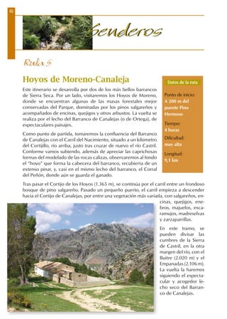 46
SenderosSenderos
Ruta 5
Hoyos de Moreno-Canaleja
Este itinerario se desarrolla por dos de los más bellos barrancos
de Sierra Seca. Por un lado, visitaremos los Hoyos de Moreno,
donde se encuentran algunas de las masas forestales mejor
conservadas del Parque, dominadas por los pinos salgareños y
acompañados de encinas, quejigos y otros arbustos. La vuelta se
realiza por el lecho del Barranco de Canalejas (o de Ortega), de
espectaculares paisajes.
Como punto de partida, tomaremos la confluencia del Barranco
de Canalejas con el Carril del Nacimiento, situado a un kilometro
del Cortijillo, río arriba, justo tras cruzar de nuevo el río Castril.
Conforme vamos subiendo, además de apreciar las caprichosas
formas del modelado de las rocas calizas, observaremos al fondo
el “hoyo” que forma la cabecera del barranco, recubierta de un
extenso pinar, y, casi en el mismo lecho del barranco, el Corral
del Peñón, donde aún se guarda el ganado.
Tras pasar el Cortijo de los Hoyos (1.365 m), se continúa por el carril entre un frondoso
bosque de pino salgareño. Pasado un pequeño puerto, el carril empieza a descender
hacia el Cortijo de Canalejas, por entre una vegetación más variada, con salgareños, en-
cinas, quejigos, ene-
bros, majuelos, esca-
ramujos, madreselvas
y zarzaparrillas.
En este tramo, se
pueden divisar las
cumbres de la Sierra
de Castril, en la otra
margen del río, con el
Buitre (2.020 m) y el
Empanadas (2.106 m).
La vuelta la haremos
siguiendo el especta-
cular y acogedor le-
cho seco del Barran-
co de Canalejas.
Datos de la ruta
Punto de inicio:
A 200 m del
puente Pino
Hermoso
Tiempo:
4 horas
Dificultad:
muy alta
Longitud:
9,1 km
 