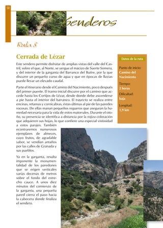 50
SenderosSenderos
Ruta 8
Cerrada de Lézar
Este sendero permite disfrutar de amplias vistas del valle del Cas-
tril, sobre el que, al Norte, se yergue el macizo de Suerte Somera,
y del interior de la garganta del Barranco del Buitre, por la que
discurre un pequeño curso de agua y que en épocas de lluvias
puede llevar un elevado caudal.
Parte el itinerario desde el Camino del Nacimiento, poco después
del primer puente. El tramo inicial discurre por el camino que ac-
cede hasta los Cortijos de Lézar, desde donde debe ascenderse
a pie hasta el interior del barranco. El trayecto se realiza entre
encinas, retamas y cornicabras, éstas últimas al pie de las paredes
rocosas. De ellas manan pequeños regueros que aseguran la hu-
medad necesaria para la vida de estos matorrales. Durante el oto-
ño, su presencia se identifica a distancia por la rojiza coloración
que adquieren sus hojas, lo que confiere una especial vistosidad
a estos parajes. También
econtraremos numerosos
ejemplares de almeces,
cuyo frutos, de agradable
sabor, se vendían antaños
por las calles de Granada y
sus pueblos.
Ya en la garganta, resulta
imponente la monumen-
talidad de los paredones
que se erigen verticales
varias decenas de metros
sobre el fondo del estre-
cho cauce. A unos diez
minutos del comienzo de
la garganta, una pequeña
pared cierra el paso hacia
la cabecera donde finaliza
el sendero.
Datos de la ruta
Punto de inicio:
Camino del
Nacimiento
Tiempo:
2 horas
Dificultad:
baja
Longitud:
1,9 km
 