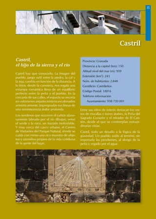 Castril,
el hijo de la sierra y el río
Castril hay que conocerlo. La imagen del
pueblo, juego sutil entre la piedra, la cal y
la teja, cambia en función de la distancia. A
lo lejos, desde la carretera, nos regala una
estampa romántica llena de un equilibrio
perfecto entre la peña y el pueblo. En la
cercanía de sus calles, el espacio se recorta
en volúmenes arquitectónicos escalonados
armónicamente, impregnadas sus líneas de
una reminiscencia árabe profunda.
Los senderos que recorren el cañón afano-
samente labrado por el río dibujan, entre
el verde y la roca, un trazado inolvidable.
Y muy cerca del casco urbano, el Centro
de Visitantes del Parque Natural, donde se
cuida con mimo una rica muestra de obje-
tos y utensilios propios de la vida cotidiana
de la gente del lugar.
Entre sus sitios de interés destacan los res-
tos de murallas y torres árabes, la Peña del
Sagrado Corazón y el mirador de El Can-
tón, desde el que se contemplan extraor-
dinarias vistas.
Castril, todo un desafío a la lógica de la
gravedad. Un pueblo asido al terreno, sin
importarle las pendientes, al abrigo de la
peña y regado por el agua.
Castril
Provincia: Granada
Distancia a la capital (km): 150
Altitud nivel del mar (m): 959
Extensión (km2
): 243
Núm. de habitantes: 2.848
Gentilicio: Castrileños
Código Postal: 18816
Teléfono información
Ayuntamiento: 958 720 001
55
 