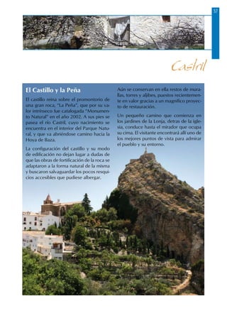 57
El Castillo y la Peña
El castillo reina sobre el promontorio de
una gran roca, “La Peña”, que por su va-
lor intrínseco fue catalogada “Monumen-
to Natural” en el año 2002. A sus pies se
pasea el río Castril, cuyo nacimiento se
encuentra en el interior del Parque Natu-
ral, y que va abriéndose camino hacia la
Hoya de Baza.
La configuración del castillo y su modo
de edificación no dejan lugar a dudas de
que las obras de fortificación de la roca se
adaptaron a la forma natural de la misma
y buscaron salvaguardar los pocos resqui-
cios accesibles que pudiese albergar.
Aún se conservan en ella restos de mura-
llas, torres y aljibes, puestos recientemen-
te en valor gracias a un magnífico proyec-
to de restauración.
Un pequeño camino que comienza en
los jardines de la Lonja, detras de la igle-
sia, conduce hasta el mirador que ocupa
su cima. El visitante encontrará allí uno de
los mejores puntos de vista para admirar
el pueblo y su entorno.
Castril
 