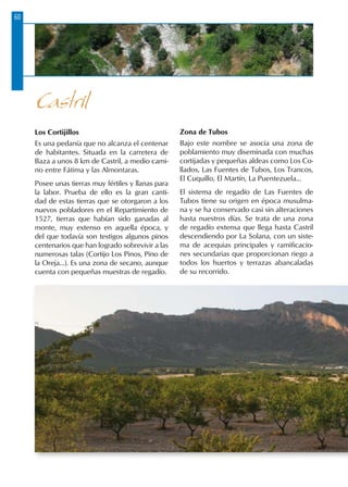 60
Los Cortijillos
Es una pedanía que no alcanza el centenar
de habitantes. Situada en la carretera de
Baza a unos 8 km de Castril, a medio cami-
no entre Fátima y las Almontaras.
Posee unas tierras muy fértiles y llanas para
la labor. Prueba de ello es la gran canti-
dad de estas tierras que se otorgaron a los
nuevos pobladores en el Repartimiento de
1527, tierras que habían sido ganadas al
monte, muy extenso en aquella época, y
del que todavía son testigos algunos pinos
centenarios que han logrado sobrevivir a las
numerosas talas (Cortijo Los Pinos, Pino de
la Oreja…). Es una zona de secano, aunque
cuenta con pequeñas muestras de regadío.
Zona de Tubos
Bajo este nombre se asocia una zona de
poblamiento muy diseminada con muchas
cortijadas y pequeñas aldeas como Los Co-
llados, Las Fuentes de Tubos, Los Trancos,
El Cuquillo, El Martín, La Puentezuela…
El sistema de regadío de Las Fuentes de
Tubos tiene su origen en época musulma-
na y se ha conservado casi sin alteraciones
hasta nuestros días. Se trata de una zona
de regadío extensa que llega hasta Castril
descendiendo por La Solana, con un siste-
ma de acequias principales y ramificacio-
nes secundarias que proporcionan riego a
todos los huertos y terrazas abancaladas
de su recorrido.
Castril
 