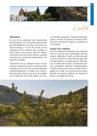 61
Almontaras
Es una de las pedanías más importantes
del municipio, con un número aproximado
de 400 habitantes. Se sitúa en la zona sur
del municipio, a 11 km de Castril, en los
márgenes de la carretera que conduce a
Baza. Posee una extensa área de cultivo,
conocida como El Campo del Rey, ganada
al monte con numerosas roturaciones a lo
largo de los siglos.
Testimonio de ese antiguo monte son las
encinas centenarias que se conservan dise-
minadas. Es una zona de secano dedicada
fundamentalmente al cultivo de cereal y
del almendro. Posee una zona de regadío
en el Valle del río Castril. Existe una cier-
ta actividad ganadera, fundamentalmente
ovina y avícola. Sus fiestas, en honor al Pa-
trón San Antonio de Papua se celebran el
13 de junio.
Fuente Vera e Isidoros
Son dos pequeñas pedanías muy cercanas
entre sí y son las más meridionales del mu-
nicipio. Delimitan Castril con Benamaurel
y Cortes. El área de cultivo forma parte del
Campo del Rey, y al igual que en Almonta-
ras, el cultivo del cereal y el almendro son
sus actividades agrícolas fundamentales.
También posee una zona de cultivo de re-
gadío en el valle con acceso por la Cuesta
del Río. En agosto celebran sus fiestas en
honor a la Virgen de Tíscar.
Castril
 