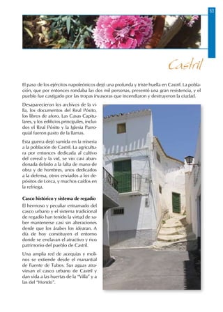 63
El paso de los ejércitos napoleónicos dejó una profunda y triste huella en Castril. La pobla-
ción, que por entonces rondaba las dos mil personas, presentó una gran resistencia, y el
pueblo fue castigado por las tropas invasoras que incendiaron y destruyeron la ciudad.
Desaparecieron los archivos de la vi-
lla, los documentos del Real Pósito,
los libros de aforo. Las Casas Capitu-
lares, y los edificios principales, inclui-
dos el Real Pósito y la Iglesia Parro-
quial fueron pasto de la llamas.
Esta guerra dejó sumida en la miseria
a la población de Castril. La agricultu-
ra por entonces dedicada al cultivo
del cereal y la vid, se vio casi aban-
donada debido a la falta de mano de
obra y de hombres, unos dedicados
a la defensa, otros enviados a los de-
pósitos de Lorca, y muchos caídos en
la refriega.
Casco histórico y sistema de regadío
El hermoso y peculiar entramado del
casco urbano y el sistema tradicional
de regadío han tenido la virtud de sa-
ber mantenerse casi sin alteraciones
desde que los árabes los idearan. A
día de hoy constituyen el entorno
donde se enclavan el atractivo y rico
patrimonio del pueblo de Castril.
Una amplia red de acequias y moli-
nos se extiende desde el manantial
de Fuente de Tubos. Sus aguas atra-
viesan el casco urbano de Castril y
dan vida a las huertas de la “Villa” y a
las del “Hondo”.
Castril
 