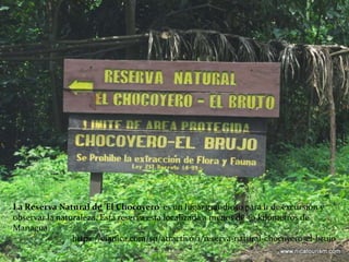 La Reserva Natural de 'El Chocoyero' es un lugar grandioso para ir de excursión y
observar la naturaleza. Esta reserva esta localizada a menos de 30 kilómetros de
Managua.
https://vianica.com/sp/atractivo/1/reserva-natural-chocoyero-el-brujo
 