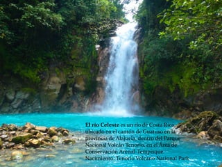 El río Celeste es un río de Costa Rica,
ubicado en el cantón de Guatuso en la
provincia de Alajuela, dentro del Parque
Nacional Volcán Tenorio, en el Área de
Conservación Arenal-Tempisque.
Nacimiento: Tenorio Volcano National Park
 