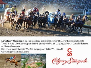 La Calgary Stampede, que se reconoce a sí misma como ‘El Mayor Espectáculo de la
Tierra al Aire Libre’, es un gran festival que se celebra en Calgary, Alberta, Canadá durante
10 días cada verano.
Dirección: 1410 Olympic Way SE, Calgary, AB T2G 2W1, Canadá
www.calgarystampede.com/
 
