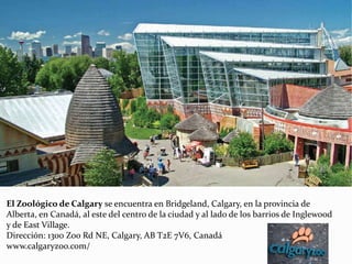 El Zoológico de Calgary se encuentra en Bridgeland, Calgary, en la provincia de
Alberta, en Canadá, al este del centro de la ciudad y al lado de los barrios de Inglewood
y de East Village.
Dirección: 1300 Zoo Rd NE, Calgary, AB T2E 7V6, Canadá
www.calgaryzoo.com/
 