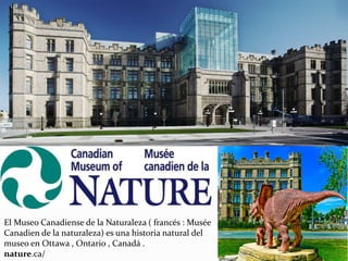El Museo Canadiense de la Naturaleza ( francés : Musée
Canadien de la naturaleza) es una historia natural del
museo en Ottawa , Ontario , Canadá .
nature.ca/
 