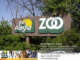 El Zoológico de Alaska
Cuenta con un área de 25 acres de la colina
de Alaska. Es una atracción popular de
Alaska con 200,000 visitantes por año.
Dirección: 4731 O'Malley Rd, Anchorage, AK
99507, Estados Unidos
www.alaskazoo.org/
 