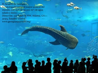 El Acuario de Georgia
Es catalogado como el mayor acuario del
mundo, con más de 30.000 m³; de agua
salada y dulce.
Dirección: 225 Baker St NW, Atlanta, GA
30313, Estados Unidos
www.georgiaaquarium.org/
 
