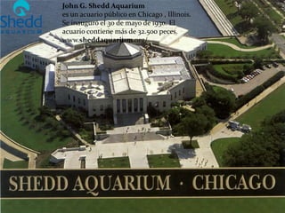 John G. Shedd Aquarium
es un acuario público en Chicago , Illinois.
Se inauguró el 30 de mayo de 1930. El
acuario contiene más de 32.500 peces.
www.sheddaquarium.org/
 