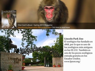 Lincoln Park Zoo
El zoológico fue fundado en
1868, por lo que es uno de
los zoológicos más antiguos
en los EE.UU. También es
uno de los pocos zoológicos
entrada gratuita en los
Estados Unidos.
www.lpzoo.org/
 