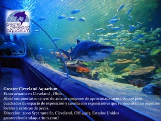 Greater Cleveland Aquarium
Es un acuario en Cleveland , Ohio .
Abrió sus puertas en enero de 2012 se compone de aproximadamente 70.000 pies
cuadrados de espacio de exposición y cuenta con exposiciones que representan las especies
locales y exóticas de peces.
Dirección: 2000 Sycamore St, Cleveland, OH 44113, Estados Unidos
greaterclevelandaquarium.com/
 