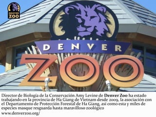Director de Biología de la Conservación Amy Levine de Denver Zoo ha estado
trabajando en la provincia de Ha Giang de Vietnam desde 2009, la asociación con
el Departamento de Protección Forestal de Ha Giang, así como esta y miles de
especies masque resguarda hasta maravilloso zoológico
www.denverzoo.org/
 