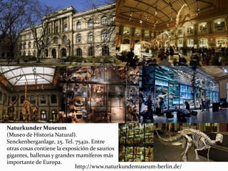 Naturkunder Museum
(Museo de Historia Natural).
Senckenberganlage, 25. Tel. 75421. Entre
otras cosas contiene la exposición de saurios
gigantes, ballenas y grandes mamíferos más
importante de Europa.
http://www.naturkundemuseum-berlin.de/
 