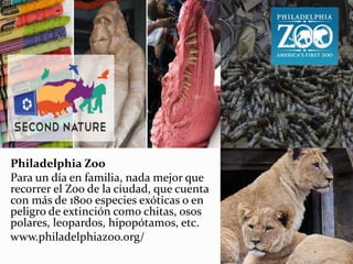 Philadelphia Zoo
Para un día en familia, nada mejor que
recorrer el Zoo de la ciudad, que cuenta
con más de 1800 especies exóticas o en
peligro de extinción como chitas, osos
polares, leopardos, hipopótamos, etc.
www.philadelphiazoo.org/
 