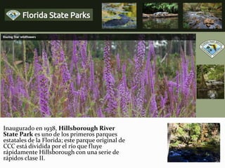 Inaugurado en 1938, Hillsborough River
State Park es uno de los primeros parques
estatales de la Florida; este parque original de
CCC está dividida por el río que fluye
rápidamente Hillsborough con una serie de
rápidos clase II.
 