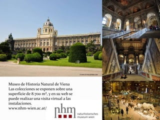 Museo de Historia Natural de Viena
Las colecciones se exponen sobre una
superficie de 8.700 m², y en su web se
puede realizar una visita virtual a las
instalaciones.
www.nhm-wien.ac.at/
 