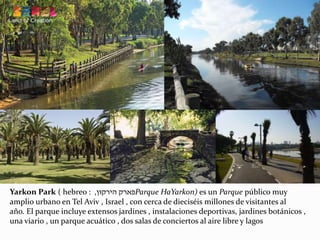 Yarkon Park ( hebreo : ‫הירקון‬ ‫פארק‬, Parque HaYarkon) es un Parque público muy
amplio urbano en Tel Aviv , Israel , con cerca de dieciséis millones de visitantes al
año. El parque incluye extensos jardines , instalaciones deportivas, jardines botánicos ,
una viario , un parque acuático , dos salas de conciertos al aire libre y lagos
 
