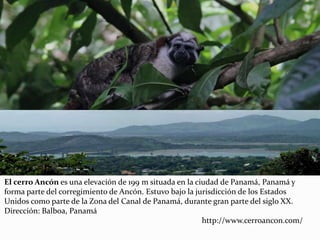 El cerro Ancón es una elevación de 199 m situada en la ciudad de Panamá, Panamá y
forma parte del corregimiento de Ancón. Estuvo bajo la jurisdicción de los Estados
Unidos como parte de la Zona del Canal de Panamá, durante gran parte del siglo XX.
Dirección: Balboa, Panamá
http://www.cerroancon.com/
 